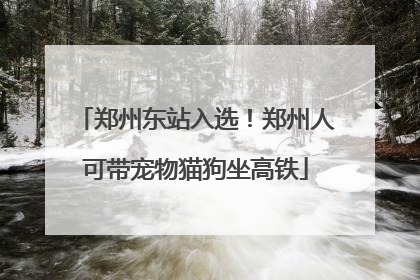 郑州东站入选！郑州人可带宠物猫狗坐高铁