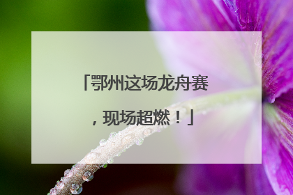 鄂州这场龙舟赛，现场超燃！