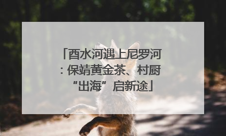 酉水河遇上尼罗河：保靖黄金茶、村厨“出海”启新途