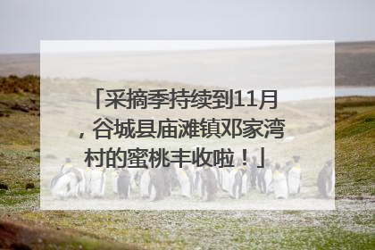 采摘季持续到11月，谷城县庙滩镇邓家湾村的蜜桃丰收啦！