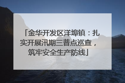 金华开发区洋埠镇：扎实开展汛期三普点巡查，筑牢安全生产防线