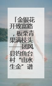 金银花开致富路，板栗青果满枝头——团风县钓鱼台村“山水生金”谱写共富新篇章