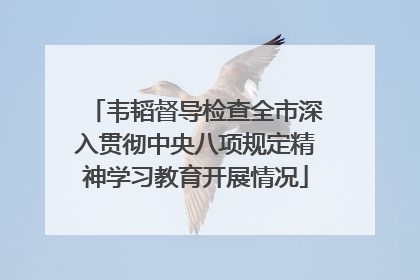韦韬督导检查全市深入贯彻中央八项规定精神学习教育开展情况