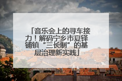 音乐会上的寻车接力！解码宁乡市夏铎铺镇“三长制”的基层治理新实践