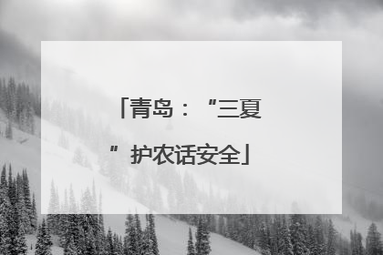青岛：“三夏”护农话安全