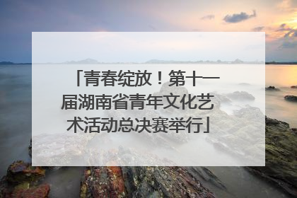 青春绽放！第十一届湖南省青年文化艺术活动总决赛举行
