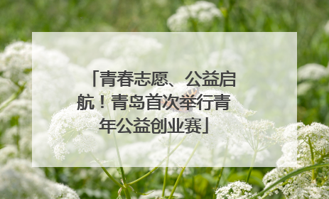青春志愿、公益启航！青岛首次举行青年公益创业赛