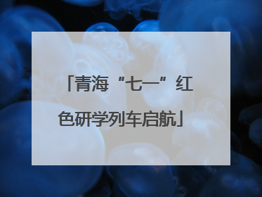 青海“七一”红色研学列车启航