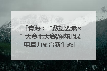 青海：“数据要素×”大赛七大赛题构建绿电算力融合新生态