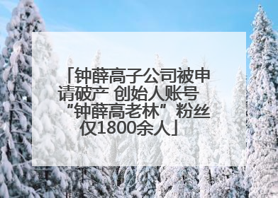 钟薛高子公司被申请破产 创始人账号“钟薛高老林”粉丝仅1800余人