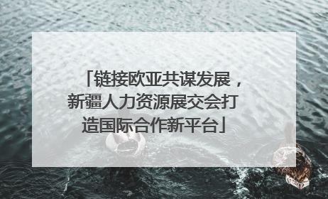 链接欧亚共谋发展，新疆人力资源展交会打造国际合作新平台