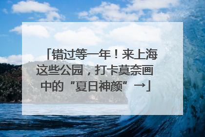 错过等一年！来上海这些公园，打卡莫奈画中的“夏日神颜”→