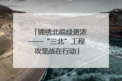 锦绣北疆绿更浓——“三北”工程攻坚战在行动