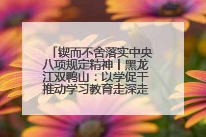 锲而不舍落实中央八项规定精神丨黑龙江双鸭山：以学促干推动学习教育走深走实 从小事入手写好“民生答卷”