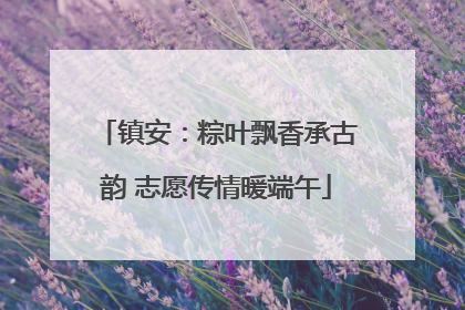 镇安：粽叶飘香承古韵 志愿传情暖端午