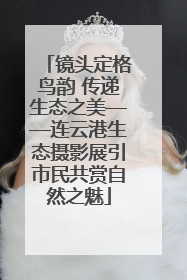 镜头定格鸟韵 传递生态之美——连云港生态摄影展引市民共赏自然之魅