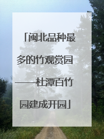 闽北品种最多的竹观赏园——杜潭百竹园建成开园