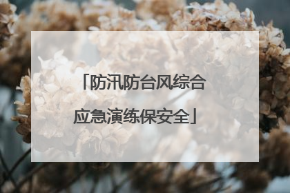 防汛防台风综合应急演练保安全