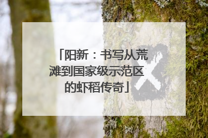 阳新：书写从荒滩到国家级示范区的虾稻传奇
