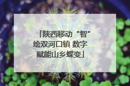陕西移动“智”绘双河口镇 数字赋能山乡蝶变