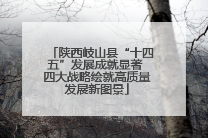陕西岐山县“十四五”发展成就显著 四大战略绘就高质量发展新图景