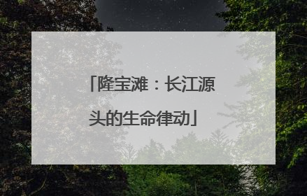 隆宝滩：长江源头的生命律动