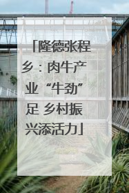隆德张程乡：肉牛产业“牛劲”足 乡村振兴添活力
