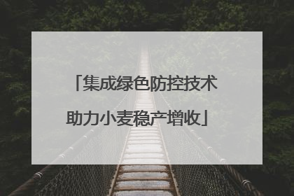 集成绿色防控技术助力小麦稳产增收