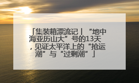 集装箱漂流记丨“地中海亚历山大”号的13天，见证太平洋上的“抢运潮”与“过剩潮”