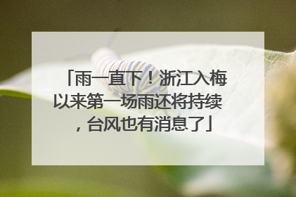 雨一直下！浙江入梅以来第一场雨还将持续，台风也有消息了