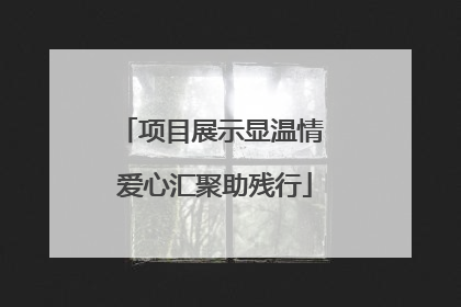 项目展示显温情 爱心汇聚助残行
