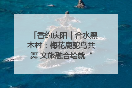香约庆阳｜合水黑木村：梅花鹿鸵鸟共舞 文旅融合绘就“诗与远方”