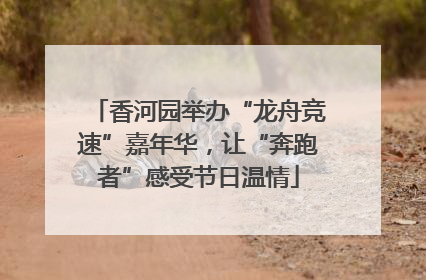 香河园举办“龙舟竞速”嘉年华，让“奔跑者”感受节日温情