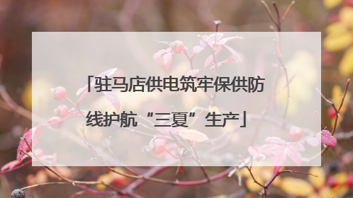 驻马店供电筑牢保供防线护航“三夏”生产