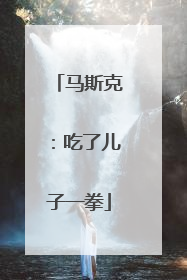 马斯克：吃了儿子一拳