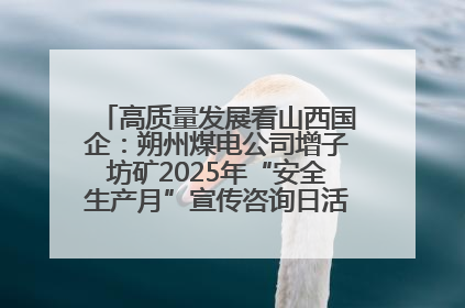 高质量发展看山西国企：朔州煤电公司增子坊矿2025年“安全生产月”宣传咨询日活动亮点纷呈