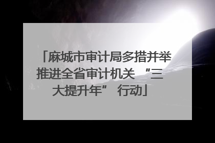 麻城市审计局多措并举推进全省审计机关 “三大提升年” 行动