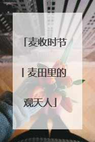 麦收时节丨麦田里的观天人