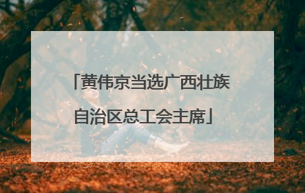黄伟京当选广西壮族自治区总工会主席