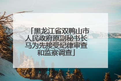 黑龙江省双鸭山市人民政府原副秘书长马为先接受纪律审查和监察调查