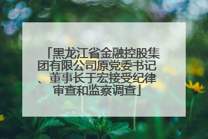 黑龙江省金融控股集团有限公司原党委书记、董事长于宏接受纪律审查和监察调查