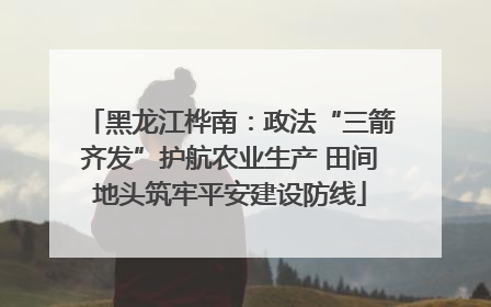 黑龙江桦南：政法“三箭齐发”护航农业生产 田间地头筑牢平安建设防线