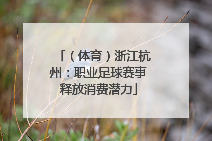（体育）浙江杭州：职业足球赛事释放消费潜力