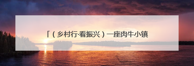 （乡村行·看振兴）一座肉牛小镇入选国家级农业产业强镇名单之后