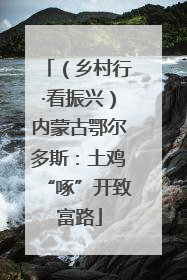 （乡村行·看振兴）内蒙古鄂尔多斯：土鸡“啄”开致富路