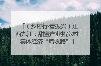 （乡村行·看振兴）江西九江：甜蜜产业拓宽村集体经济“增收路”