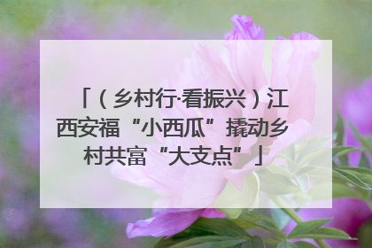 （乡村行·看振兴）江西安福“小西瓜”撬动乡村共富“大支点”