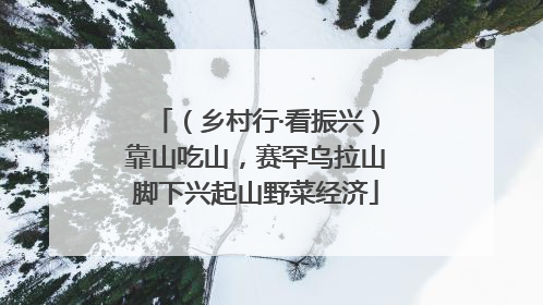 （乡村行·看振兴）靠山吃山，赛罕乌拉山脚下兴起山野菜经济