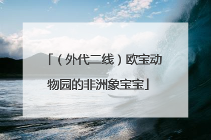 （外代二线）欧宝动物园的非洲象宝宝
