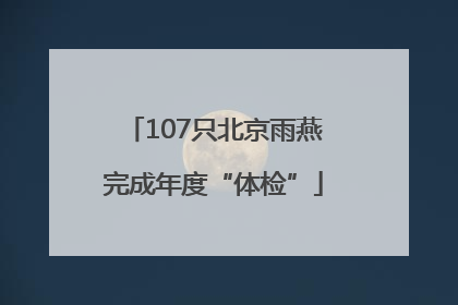 107只北京雨燕完成年度“体检”